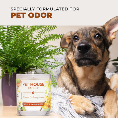 - 100% Natural Soy Wax Candle - Pet Odor Eliminator, up to 60 Hours Burn Time, Non-Toxic, Eco-Friendly Reusable Glass Jar Scented Candles – Pumpkin Spice - Pack of 2